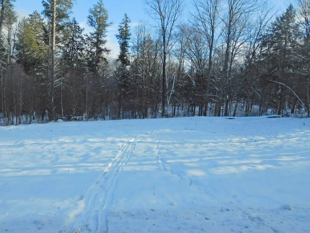 200 Bertha Springs Road Waitsfield VT 05673