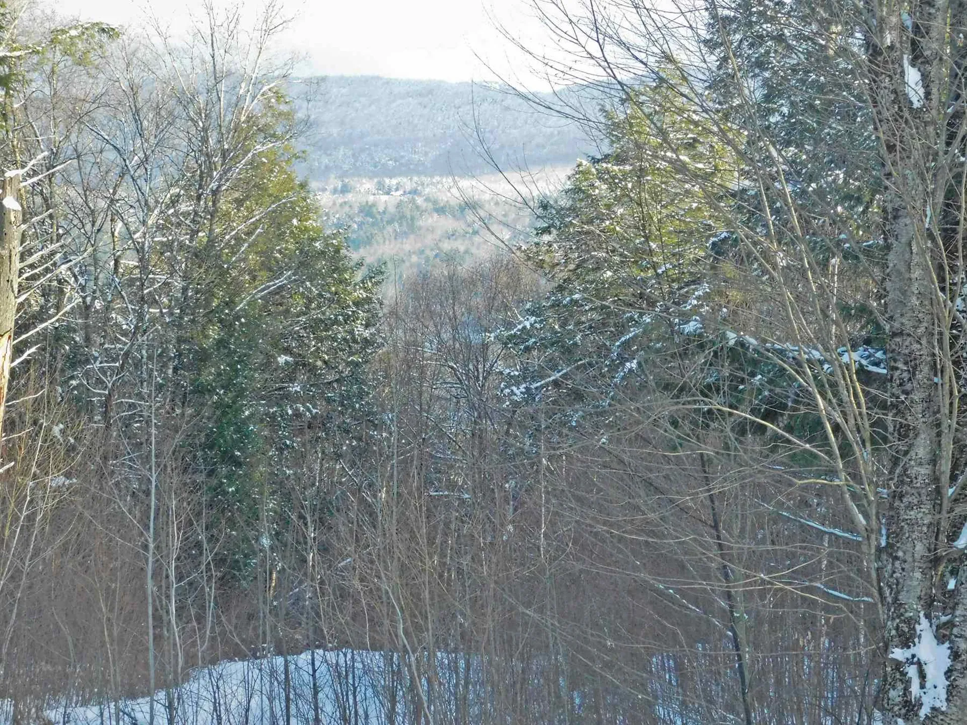 200 Bertha Springs Road Waitsfield VT 05673