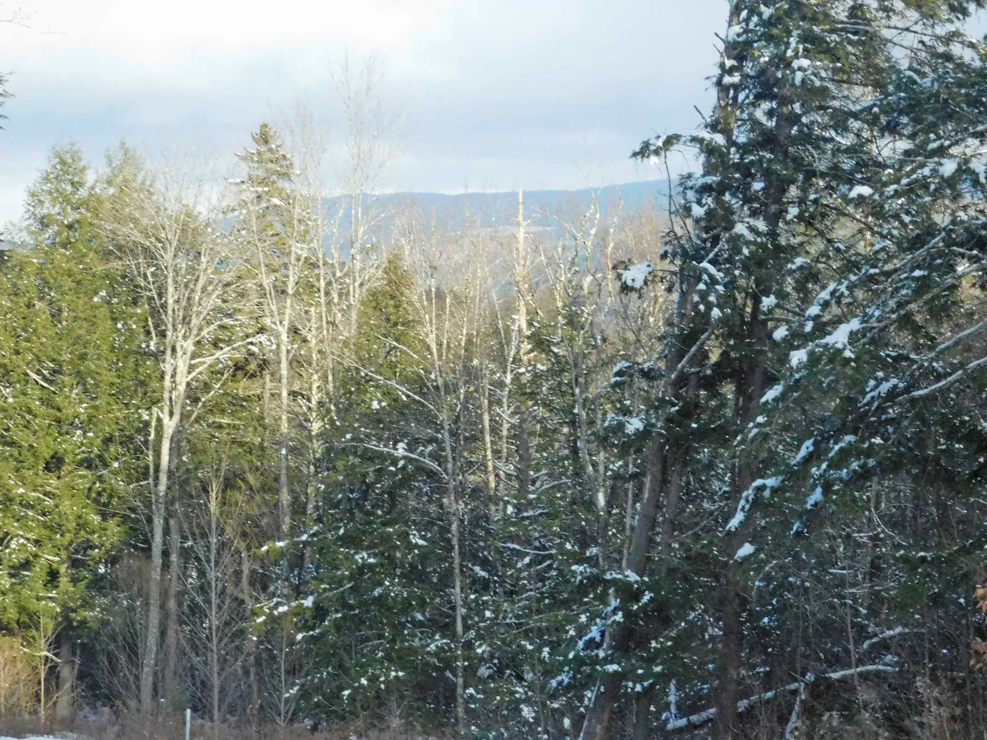 200 Bertha Springs Road Waitsfield VT 05673