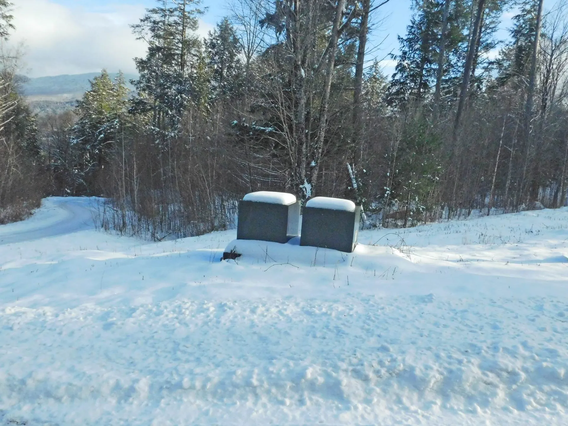 200 Bertha Springs Road Waitsfield VT 05673