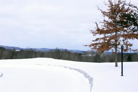 1100 Cormier Road Danville VT 05828