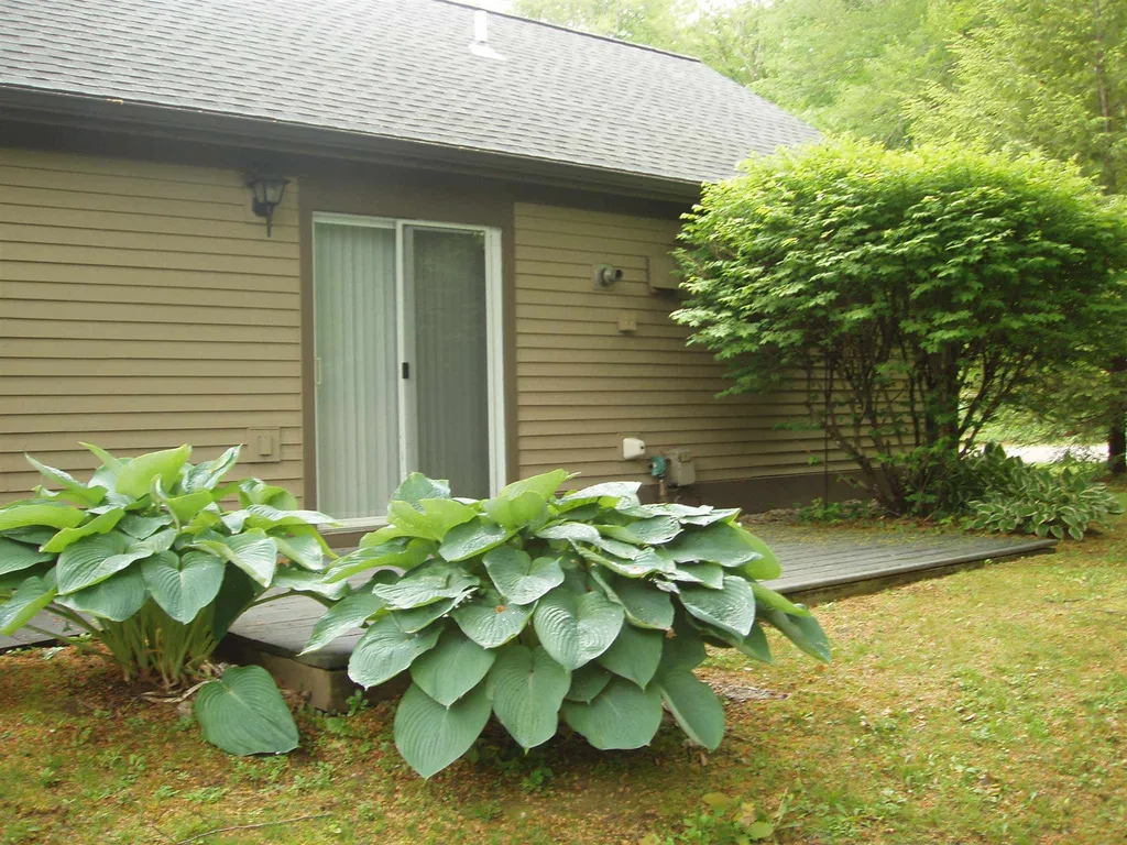 248 Coombs Road Manchester VT 05255