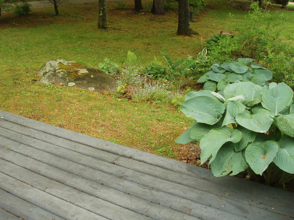 248 Coombs Road Manchester VT 05255