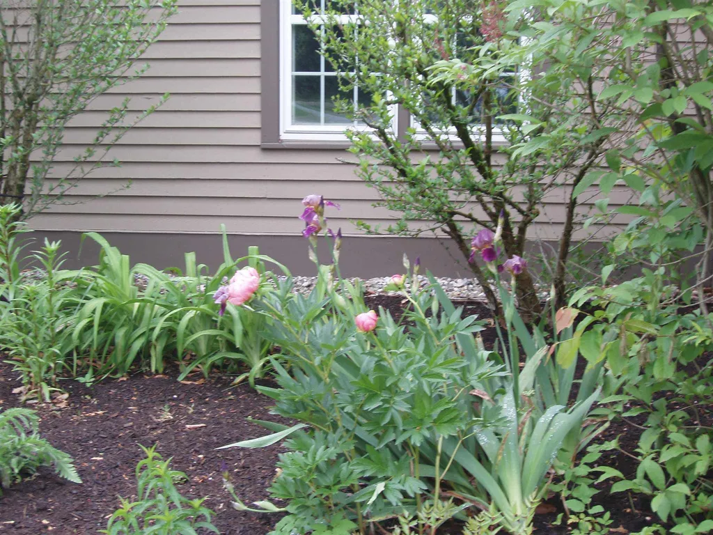 248 Coombs Road Manchester VT 05255