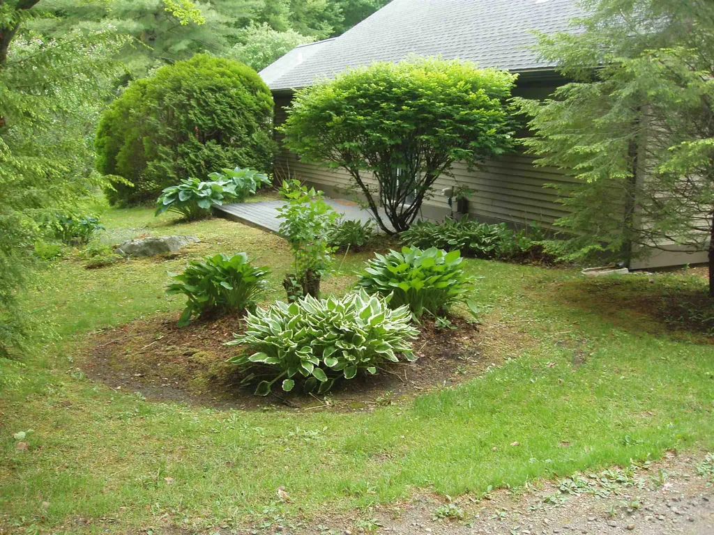 248 Coombs Road Manchester VT 05255