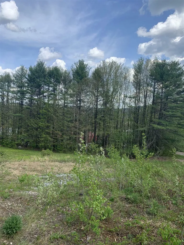 40 Sturgis Circle Grantham NH 03753