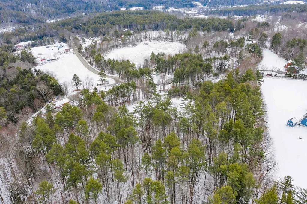40 Sturgis Circle Grantham NH 03753