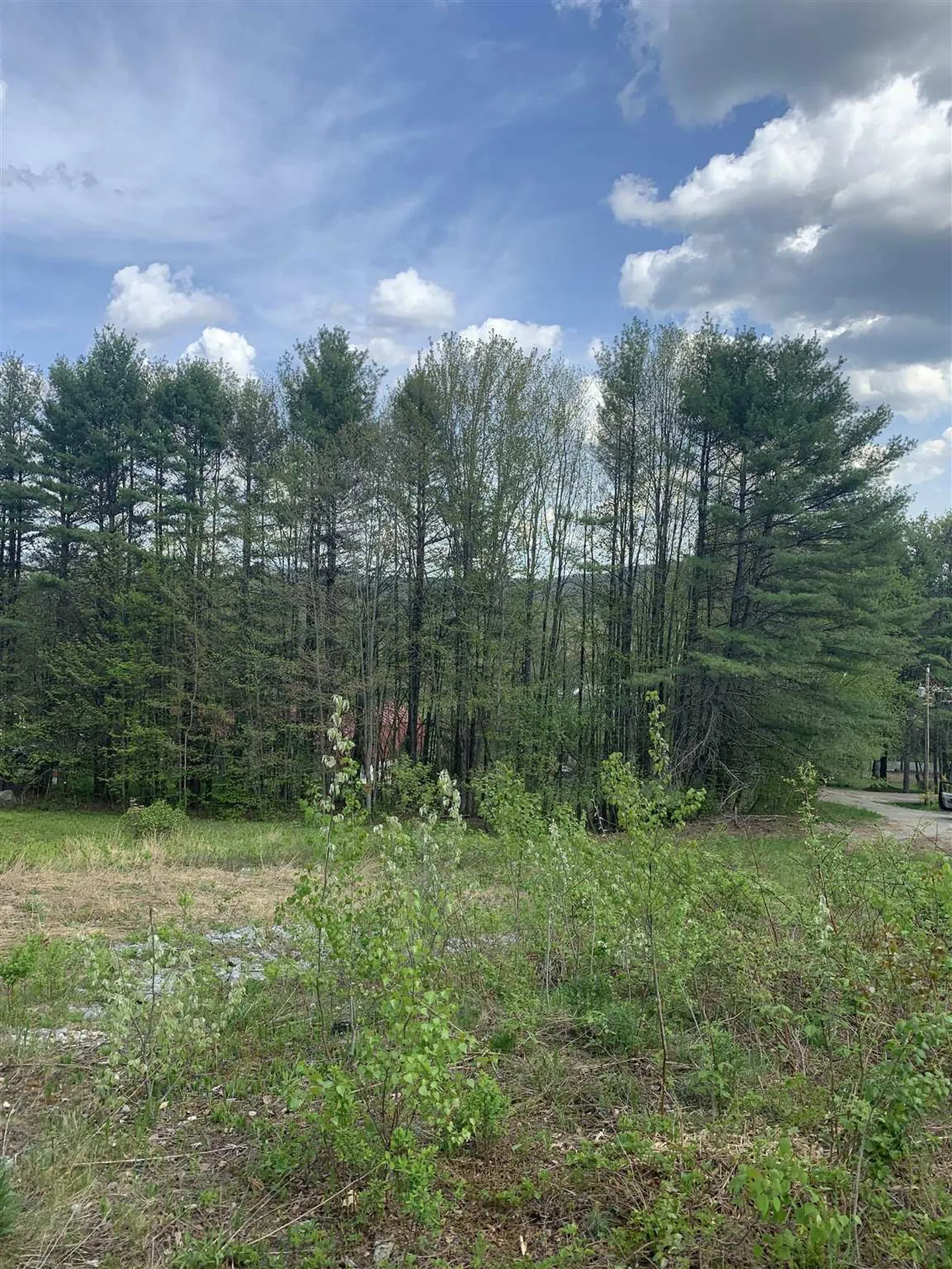 40 Sturgis Circle Grantham NH 03753
