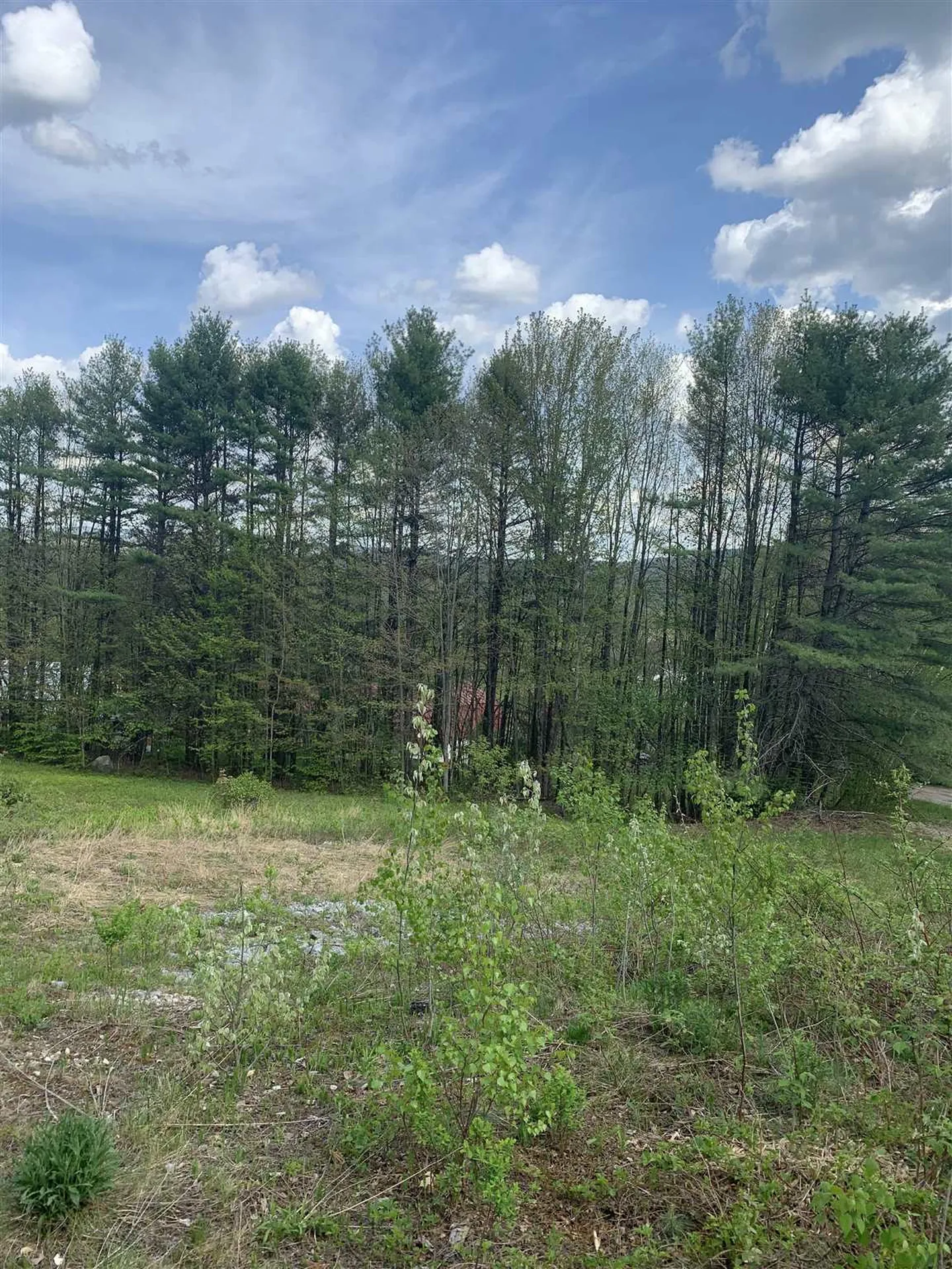 40 Sturgis Circle Grantham NH 03753