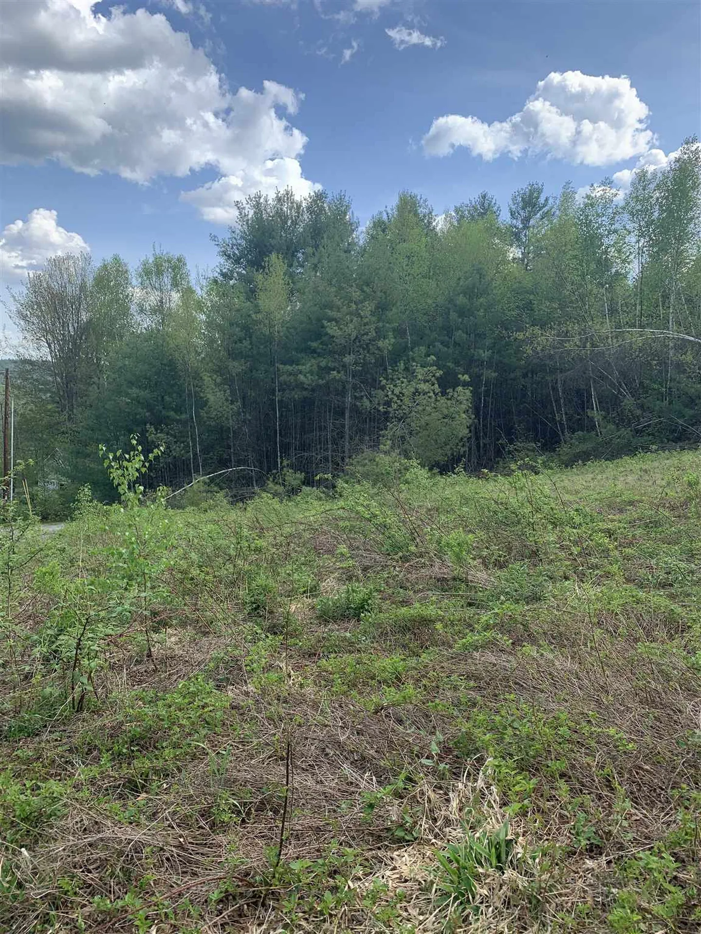 40 Sturgis Circle Grantham NH 03753