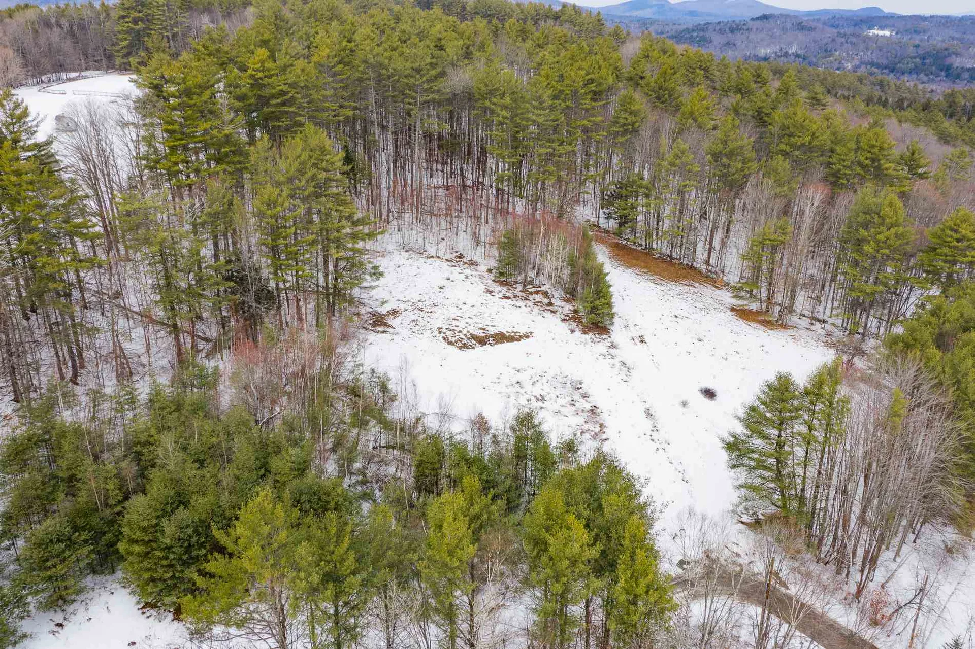 40 Sturgis Circle Grantham NH 03753