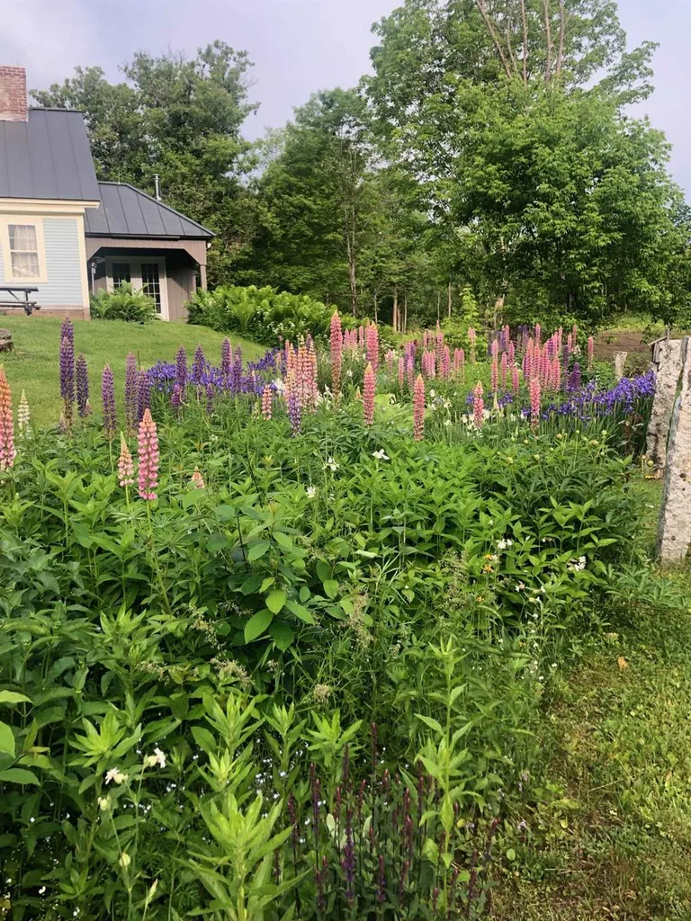738 Stage Road Pomfret VT 05067