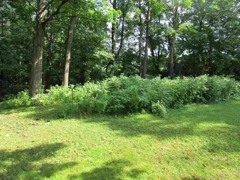 732 Kent Street Berlin NH 03570