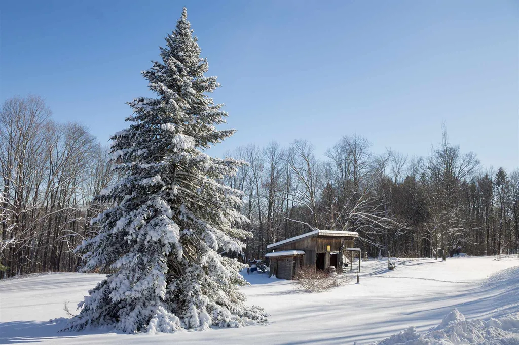 2258 Dartt Hill Road Bethel VT 05032