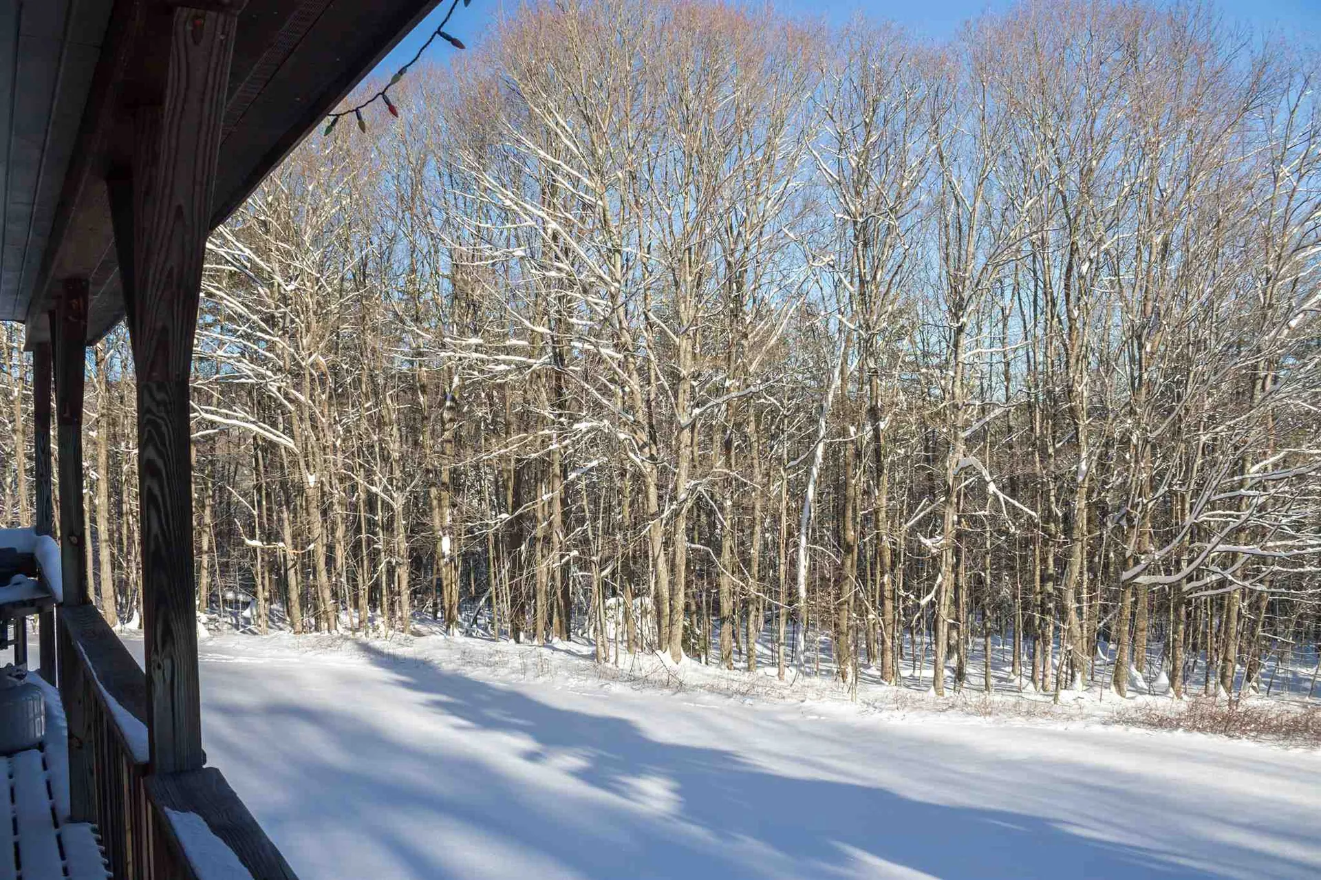 2258 Dartt Hill Road Bethel VT 05032