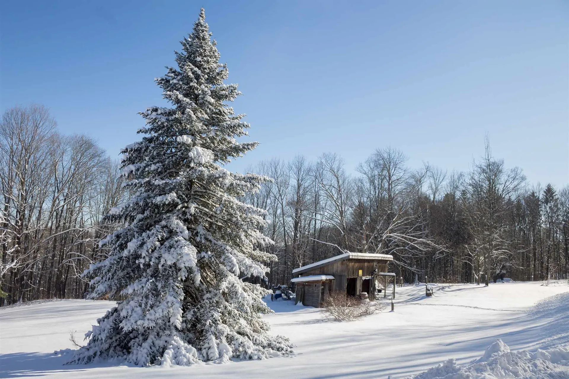 2258 Dartt Hill Road Bethel VT 05032