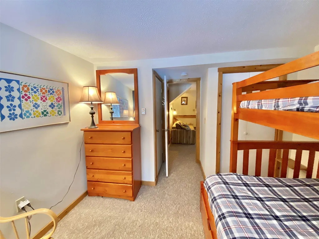 11 Tamarack Road Stratton VT 05155