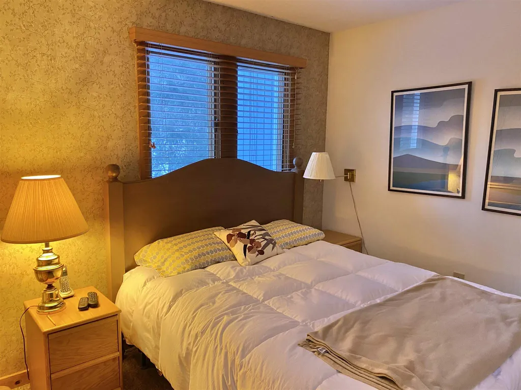 11 Tamarack Road Stratton VT 05155