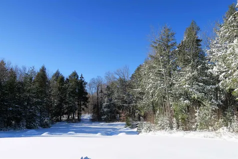 225 West Jamaica Road Stratton VT 05155