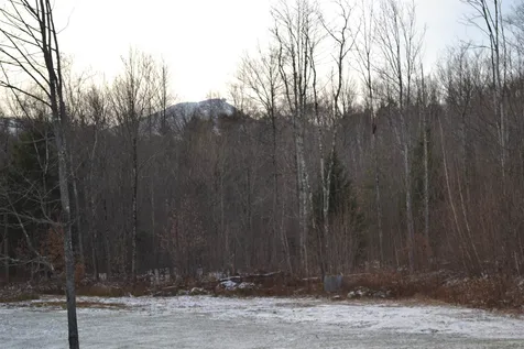 113 Woodshed Road Jay VT 05859