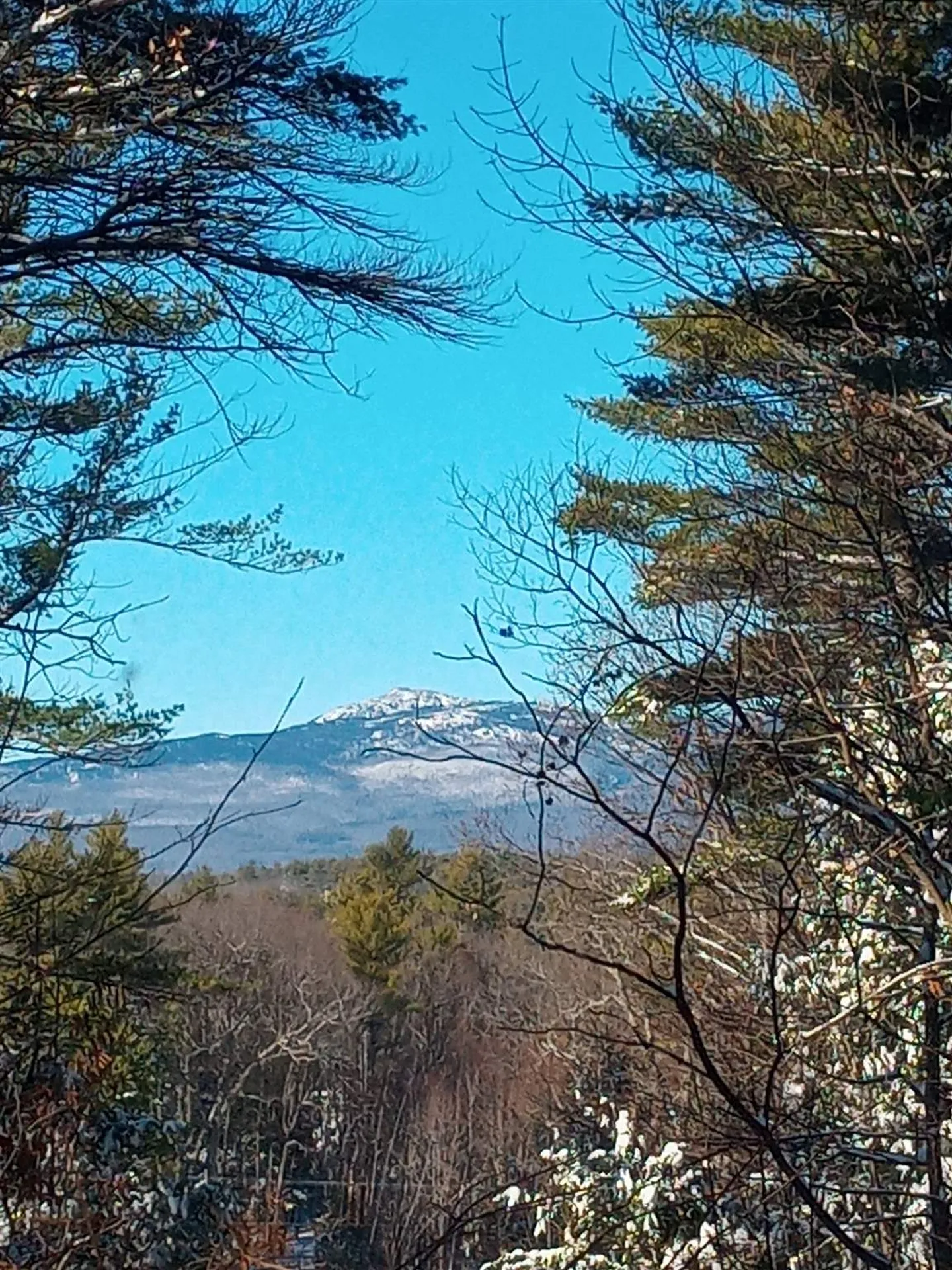 240 Woodbound Road Rindge NH 03461