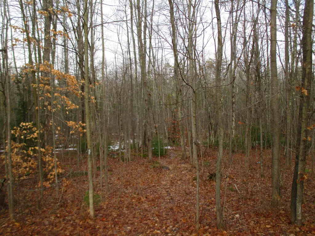 491 White Oaks Road Laconia NH 03246