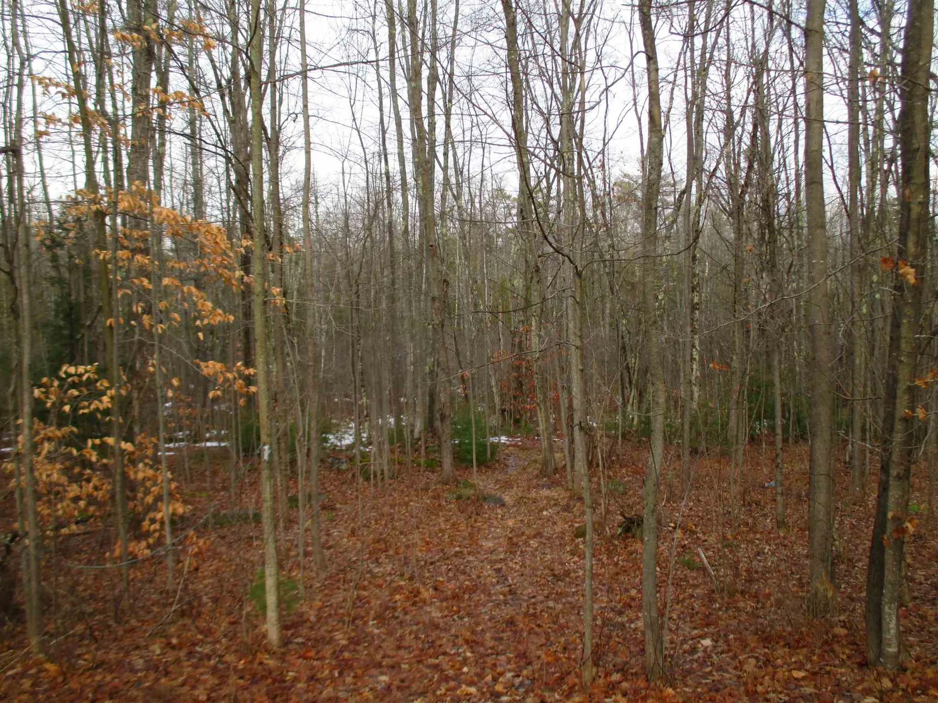 491 White Oaks Road Laconia NH 03246