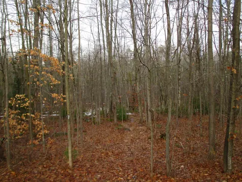 491 White Oaks Road Laconia NH 03246