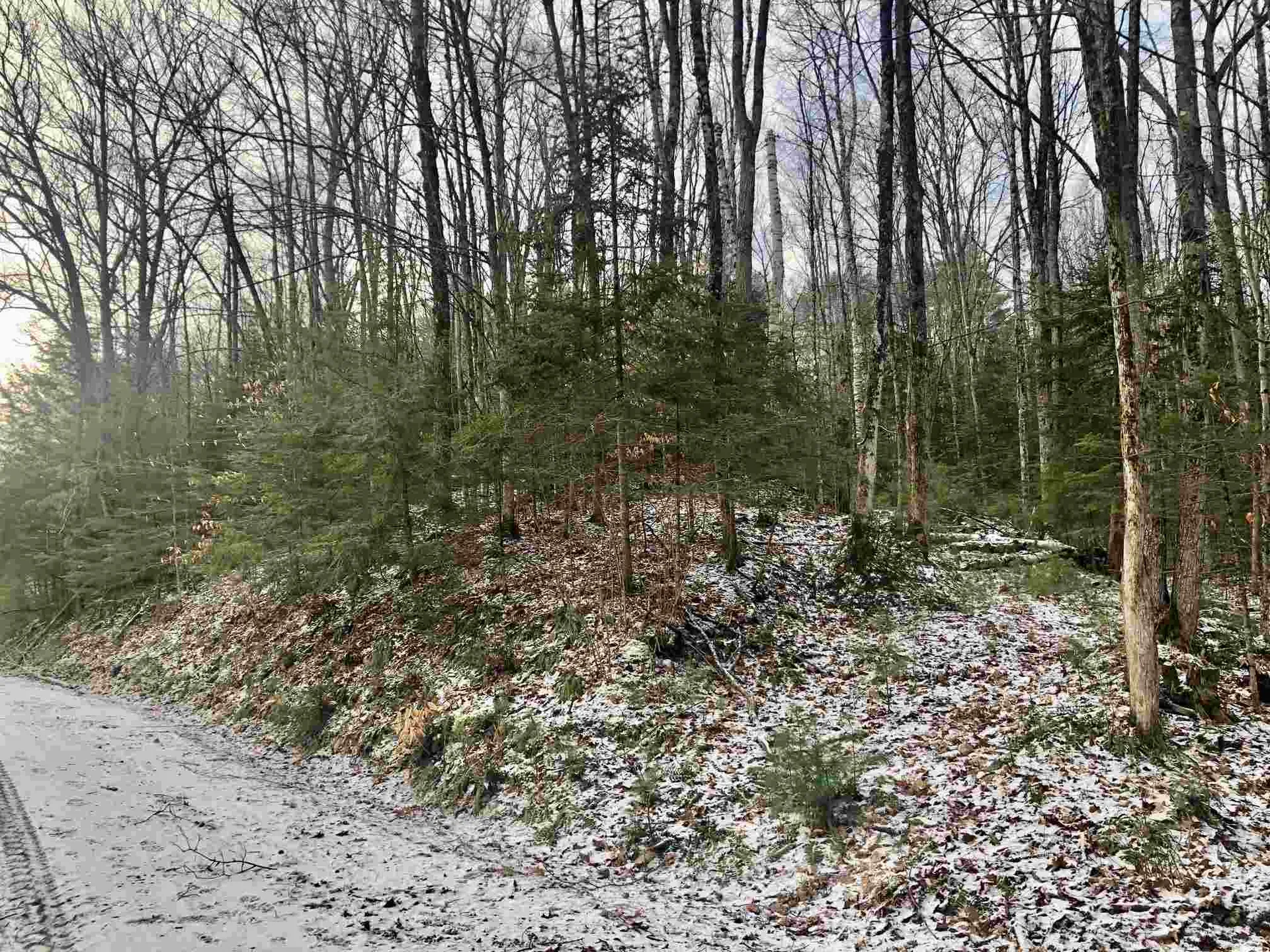 Cranmore Drive Haverhill NH 03785
