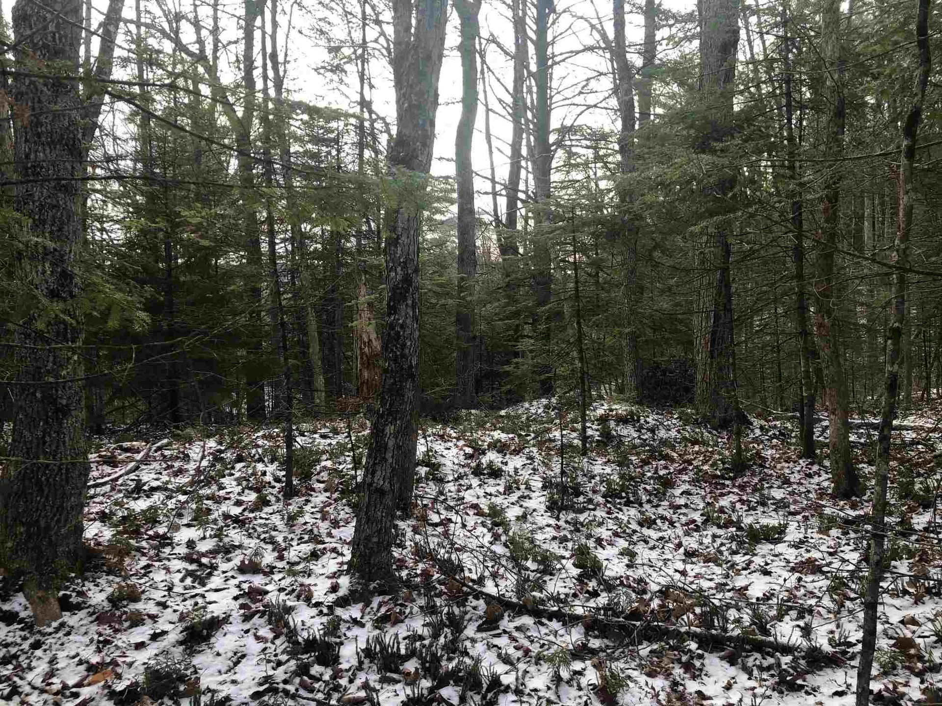 Cranmore Drive Haverhill NH 03785