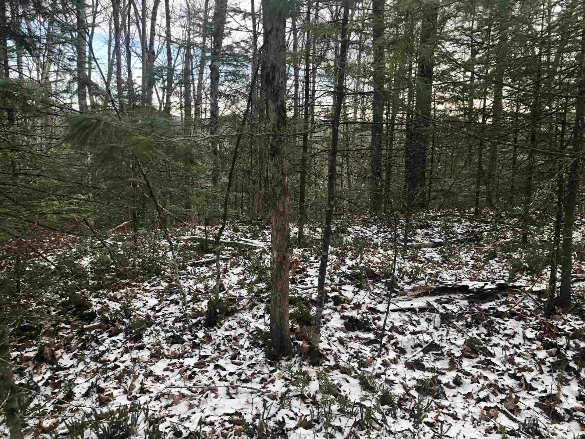 Cranmore Drive Haverhill NH 03785