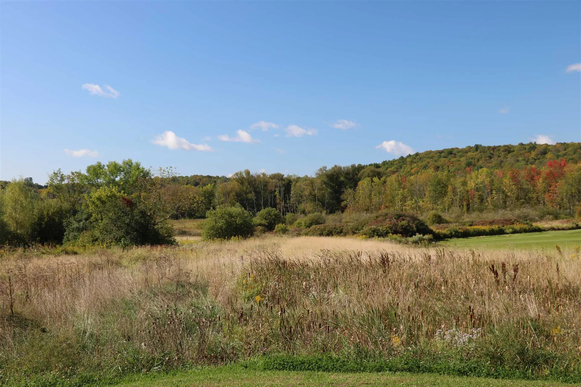 33 Clover Lane Hinesburg VT 05461