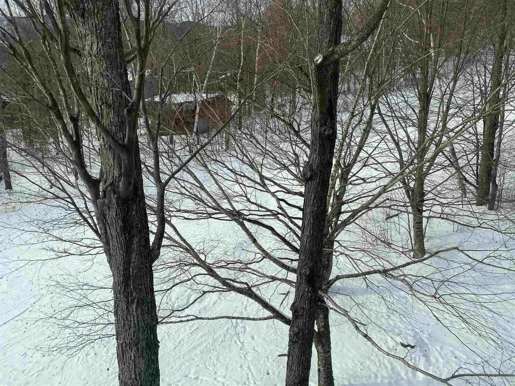 25 Trailside Drive Warren VT 05674
