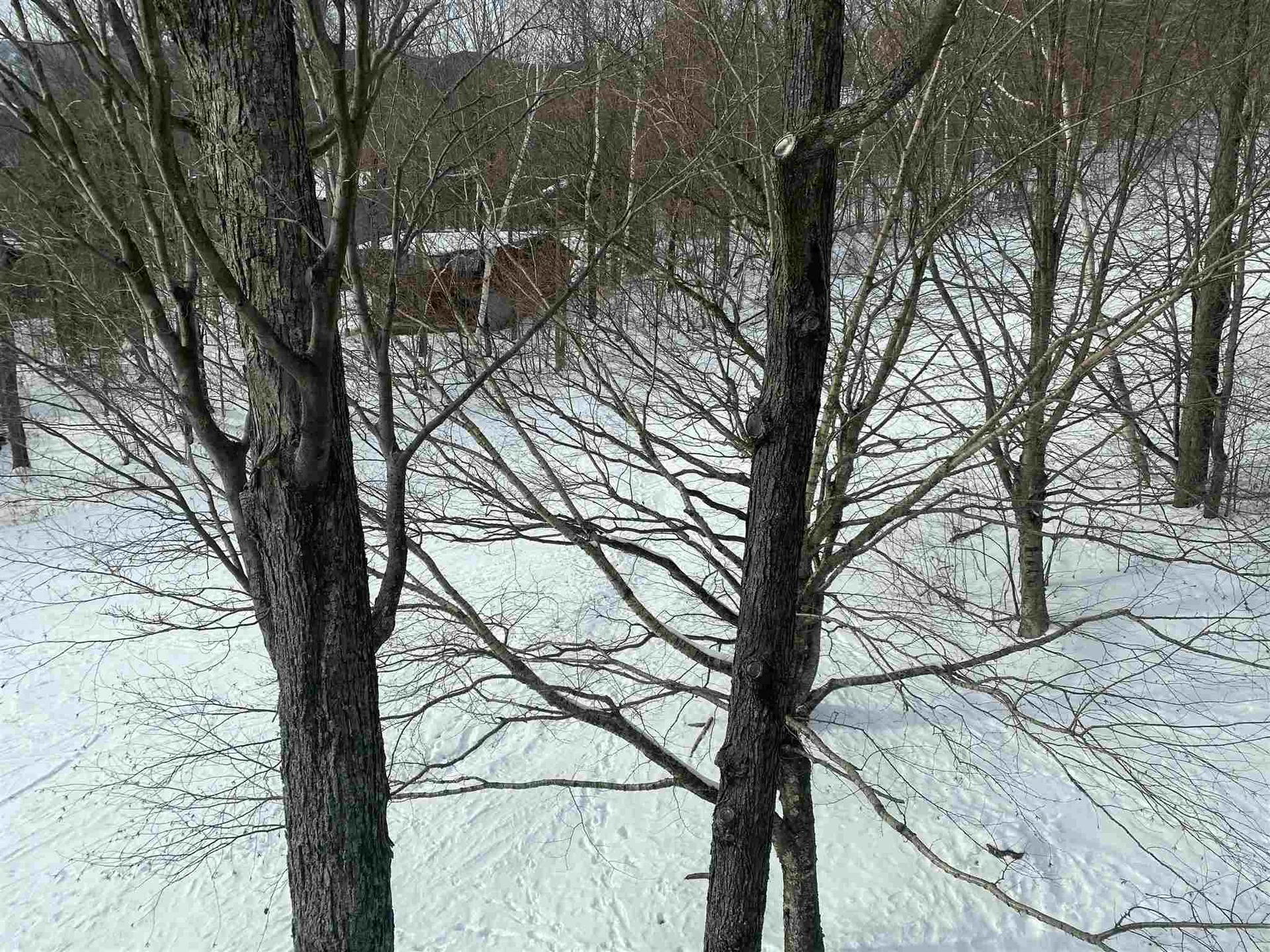 25 Trailside Drive Warren VT 05674