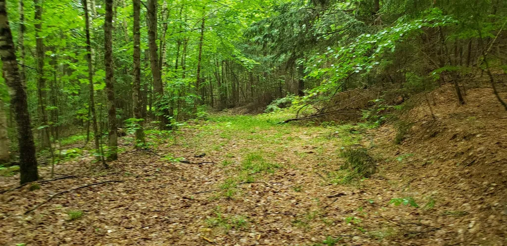 507 Cheney Four Corners Road Newbury VT 05051