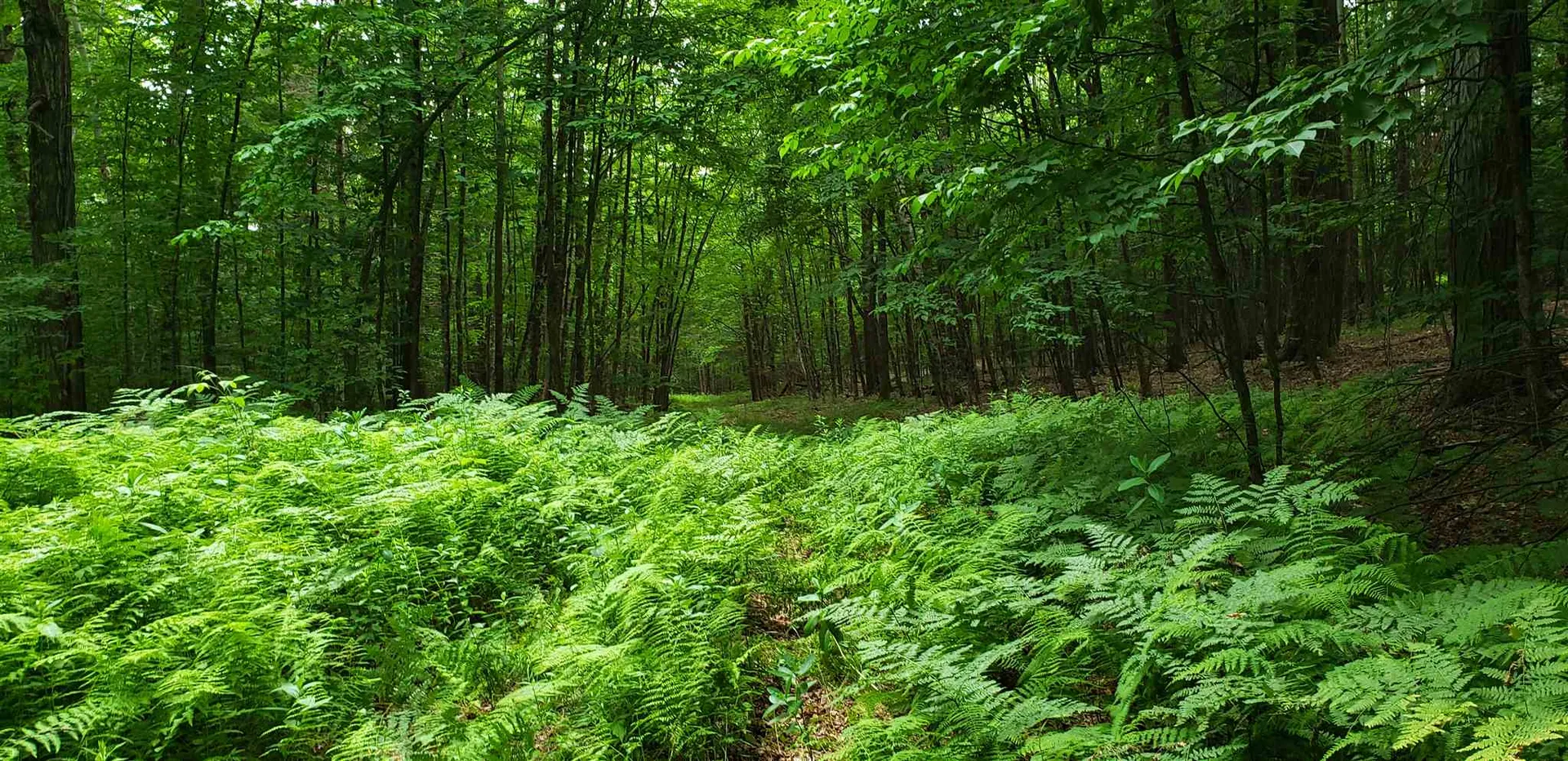 507 Cheney Four Corners Road Newbury VT 05051