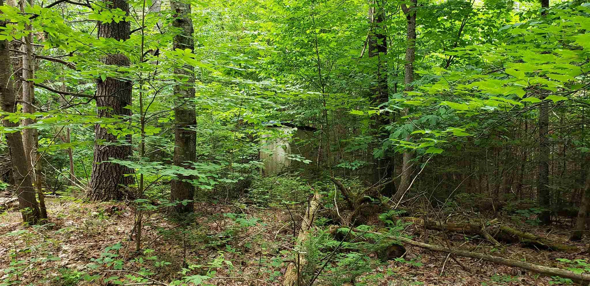 507 Cheney Four Corners Road Newbury VT 05051