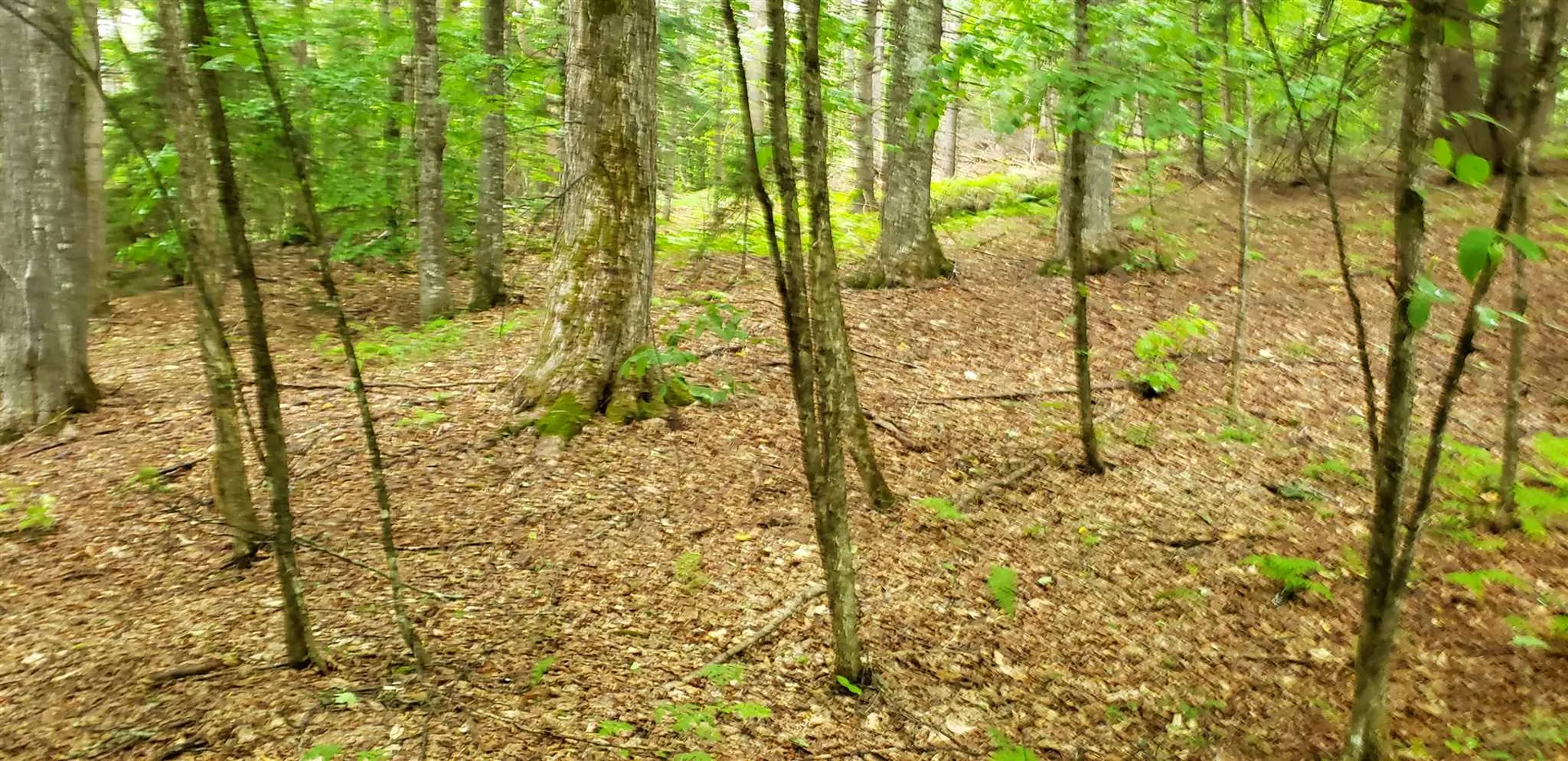507 Cheney Four Corners Road Newbury VT 05051