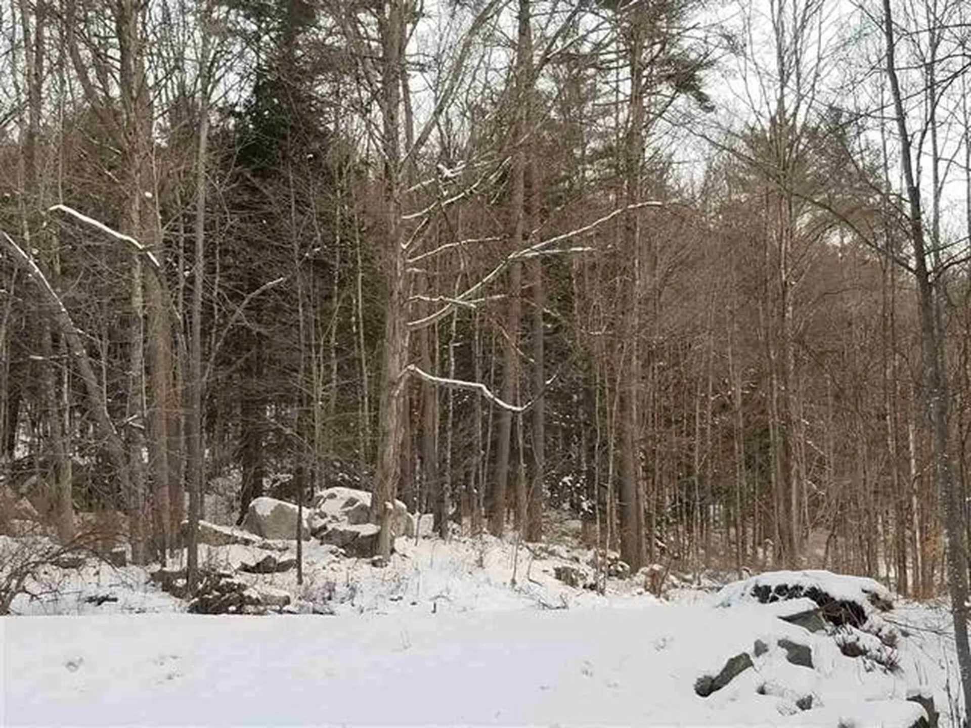 618 Town House Road Cornish NH 03745