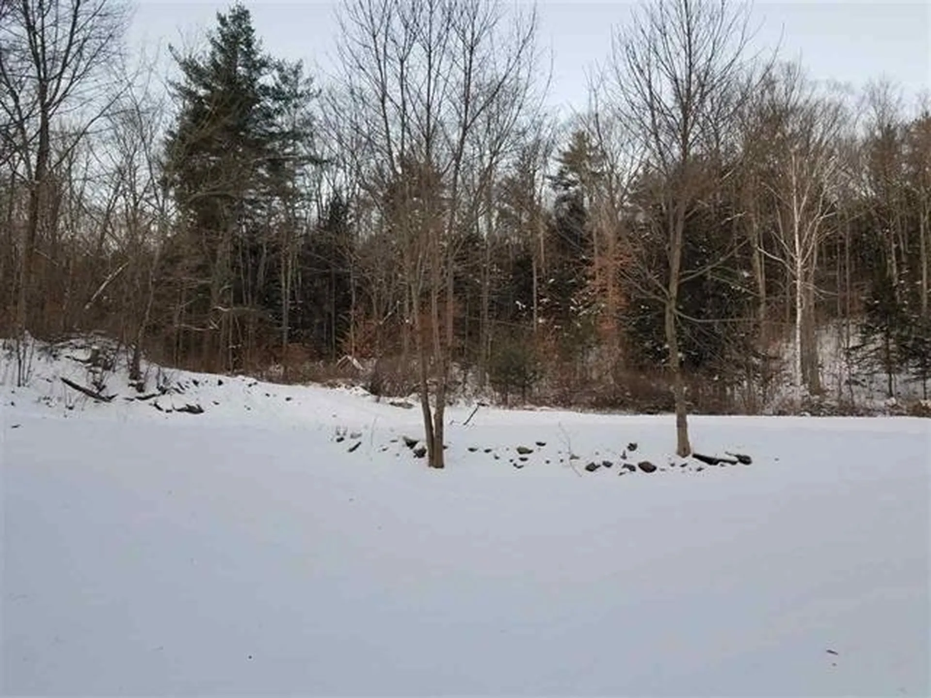 618 Town House Road Cornish NH 03745