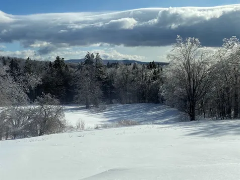 6 Upper French Hollow Road Winhall VT 05340
