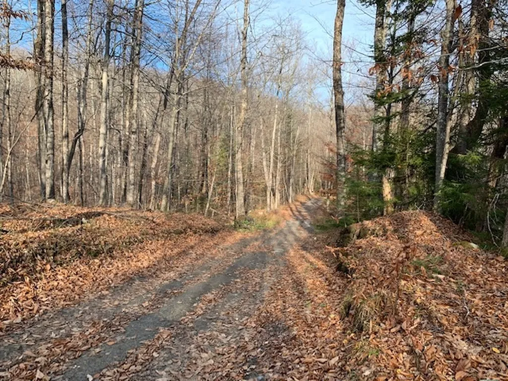 123 Emerson Road Topsham VT 05076