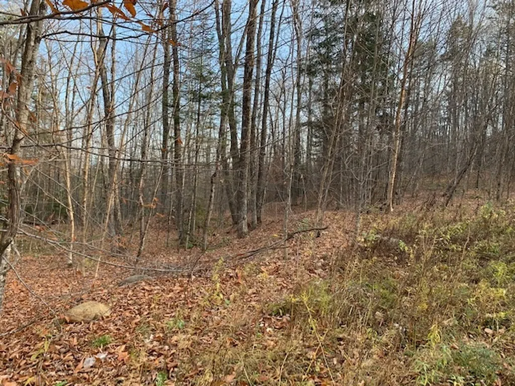 123 Emerson Road Topsham VT 05076