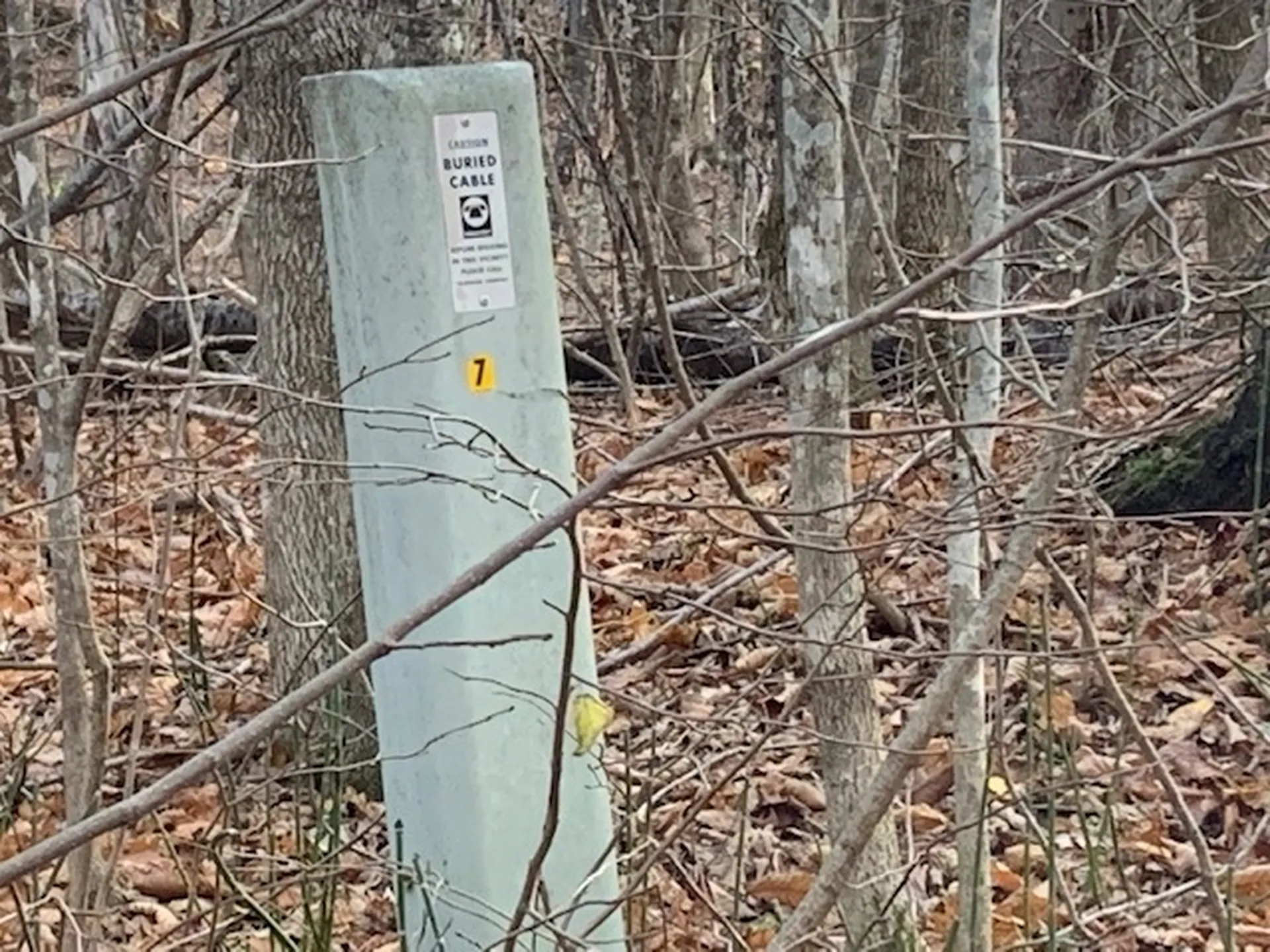 123 Emerson Road Topsham VT 05076