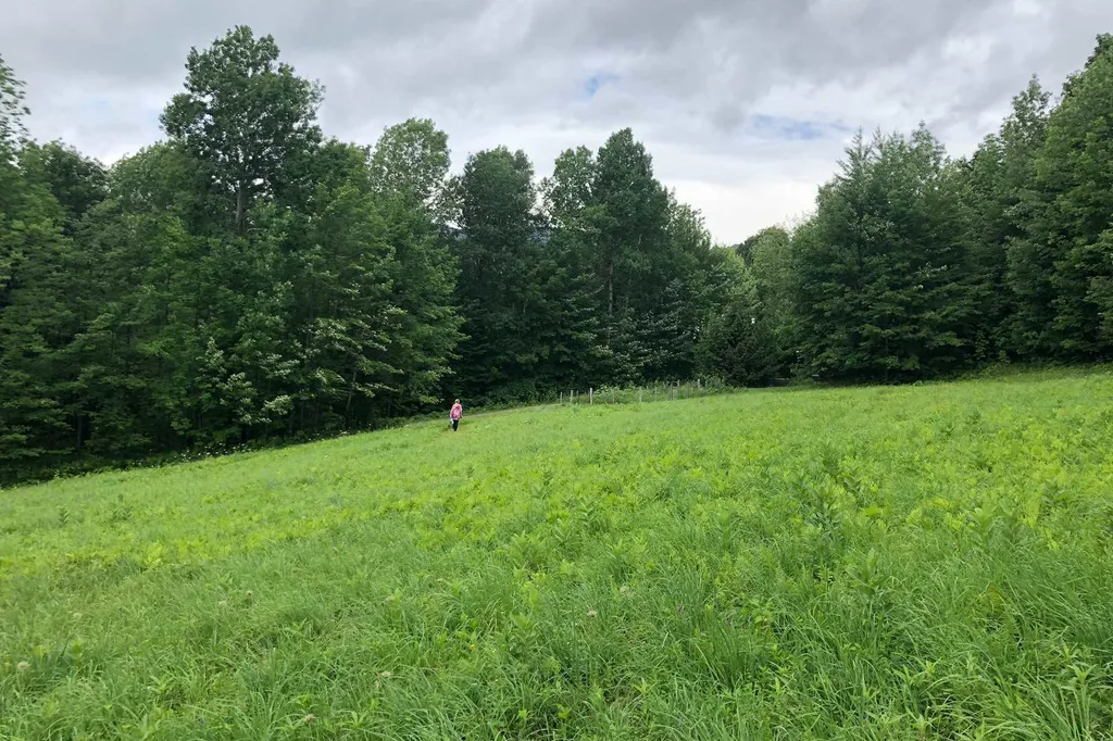 99 Vickery Hill Road Warren VT 05674