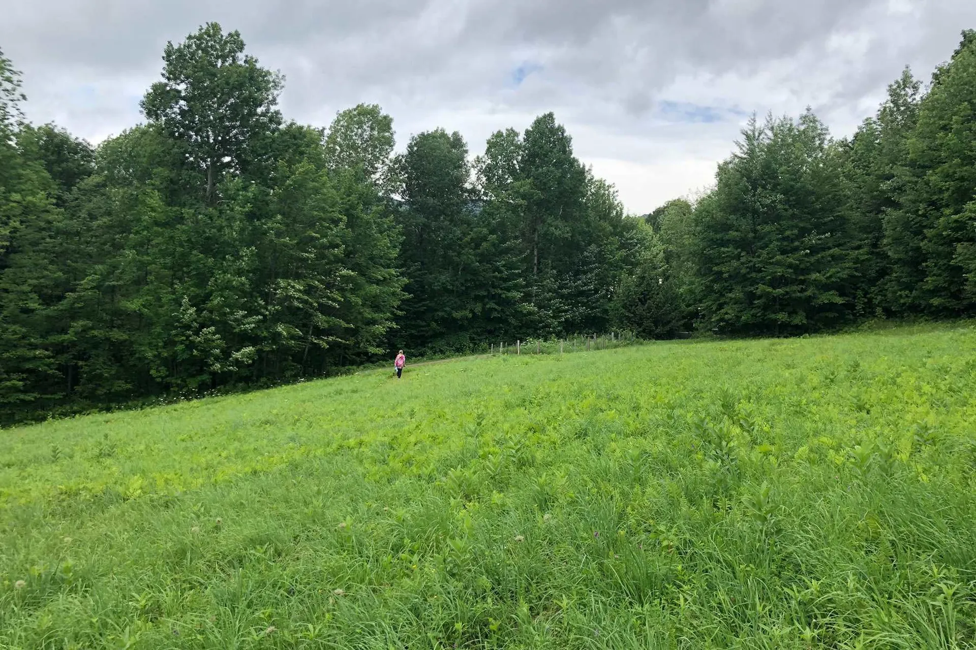 99 Vickery Hill Road Warren VT 05674