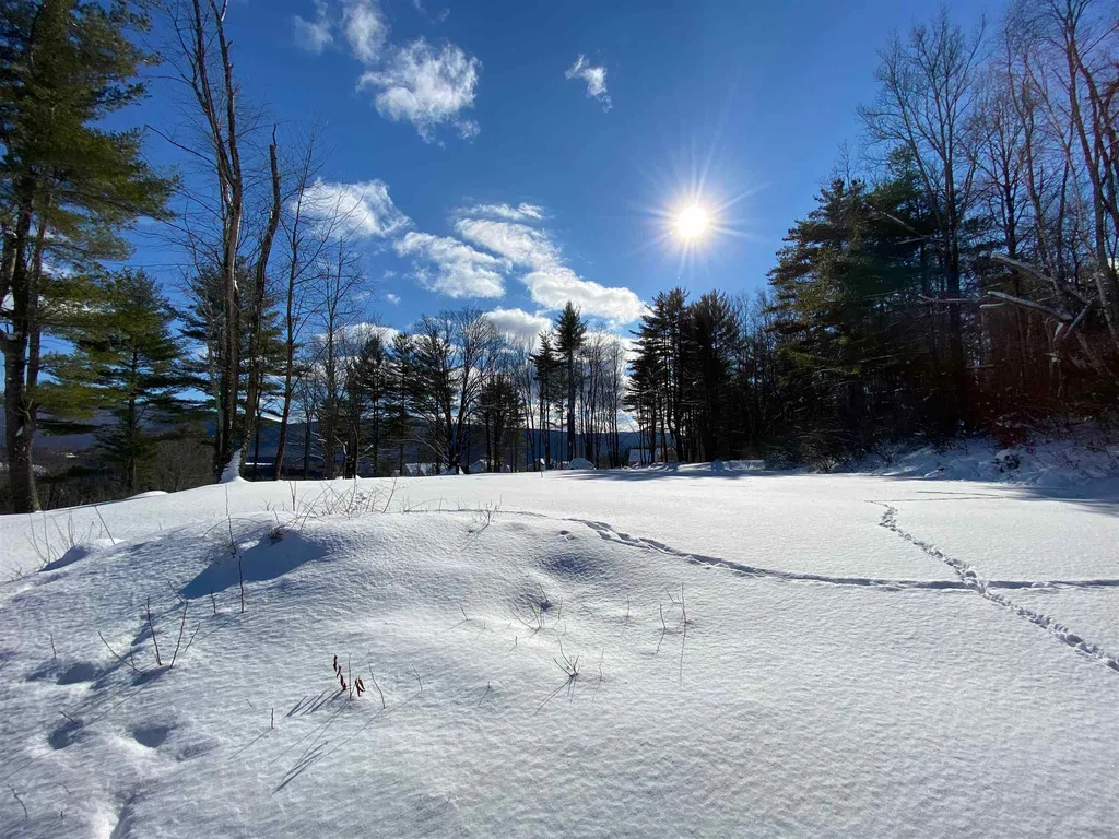 557 Partridge Hill Road Manchester VT 05255