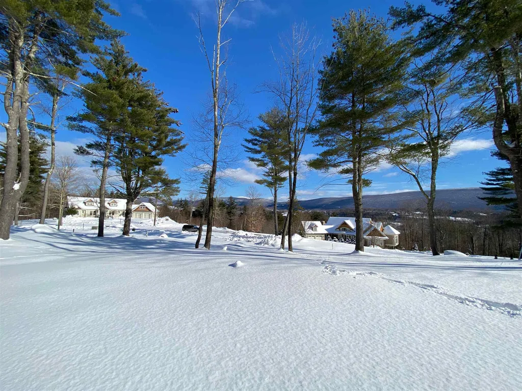 557 Partridge Hill Road Manchester VT 05255
