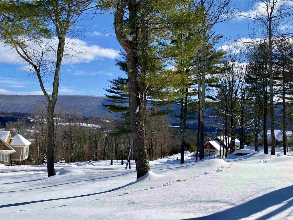 557 Partridge Hill Road Manchester VT 05255