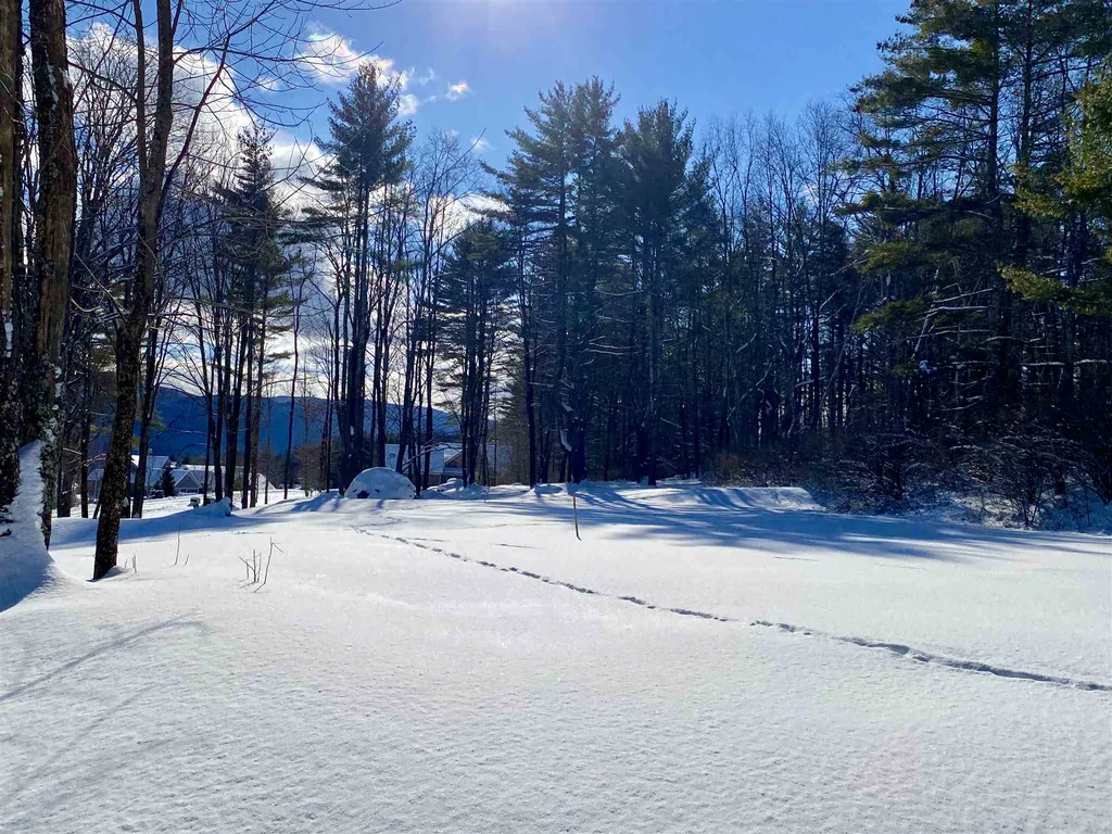 557 Partridge Hill Road Manchester VT 05255